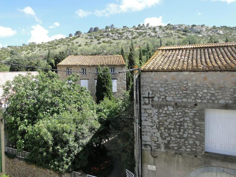 Le Grappillon Villa Fitou Kültér fotó